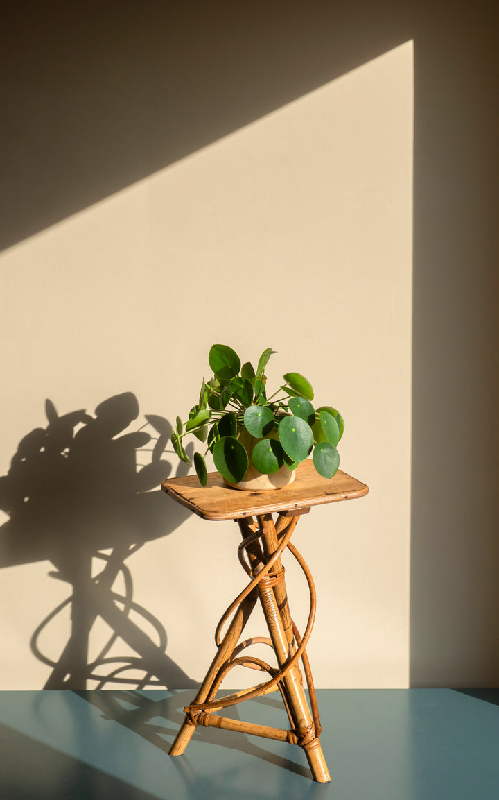 Small Vintage Bamboo Side Table - Organic Shape