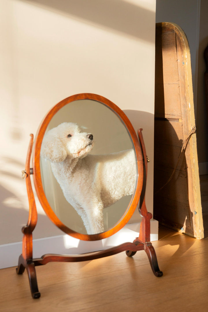 Antique English Table Mirror - Mahogany Wood